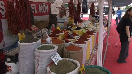 Ülkenin tüm renkleri Eskişehir’de buluştu