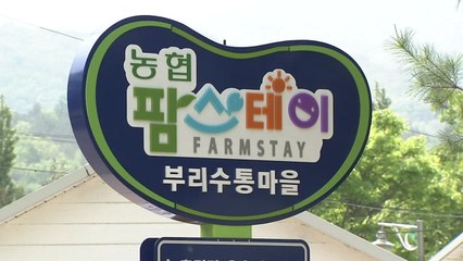 '아름다운 마을 가꾸기'...농업·농촌 가치 높인다 / YTN