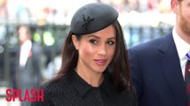 Meghan Markle's brother warns Prince Harry