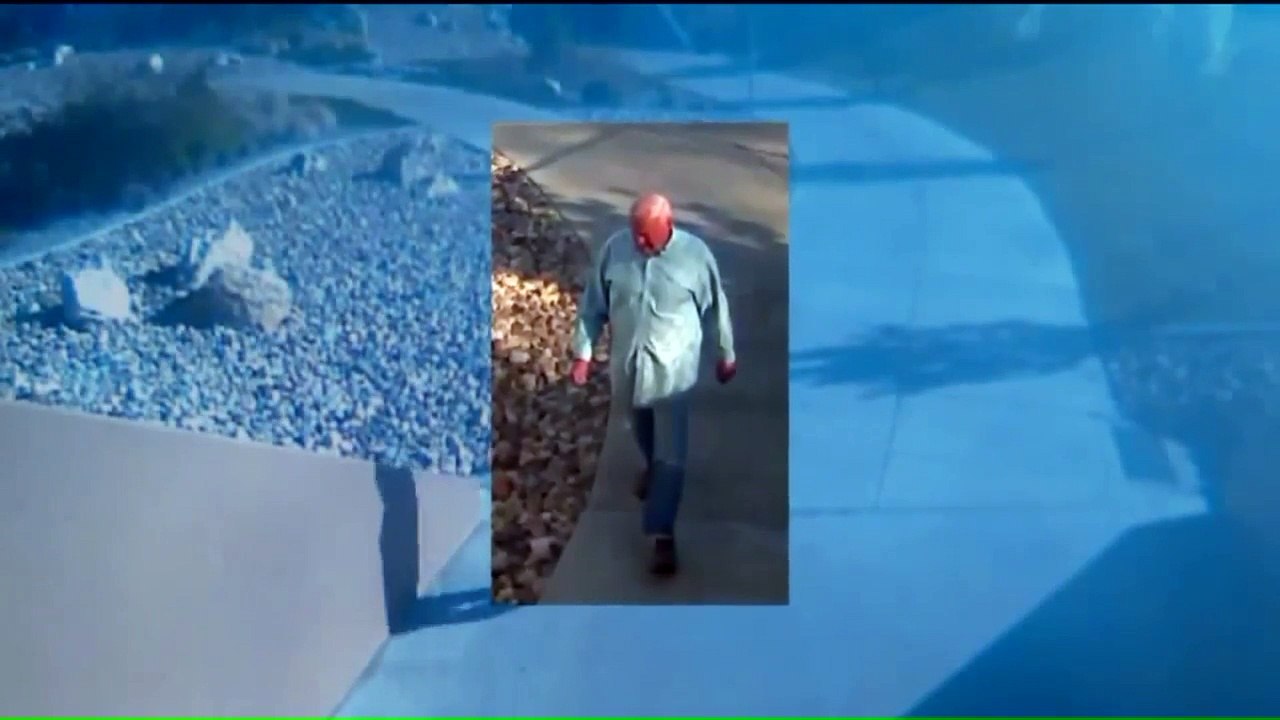 Video Shows 75-Year-Old Man Who Went Missing While on a Walk