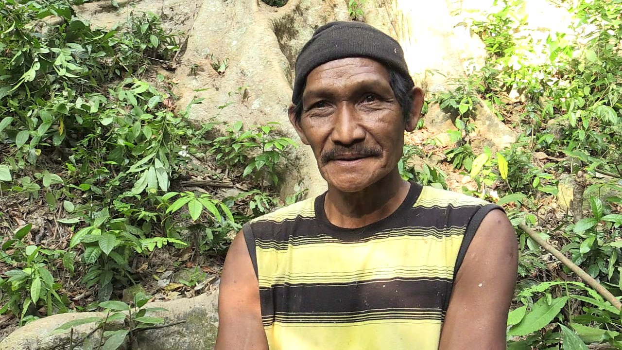 Malaysische Honigjäger riskieren ihr Leben in Baumwipfeln