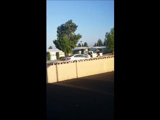 Il se fait percuter par une voiture pendant un road rage