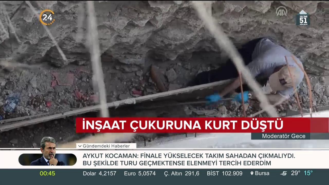 Kurt kurtarma operasyonu