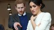 Meghan Markle's brother just told Prince Harry to cancel the royal wedding