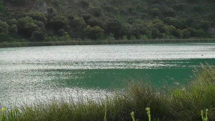 SONIDOS DE LA NATURALEZA  / laguna del arquillo / nature sounds /
