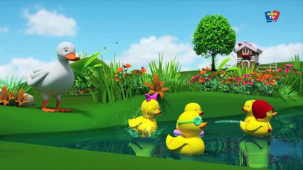 cinq petits canards - rime pour les enfants - nursery rhyme - chanson bébé - Five Little Ducks