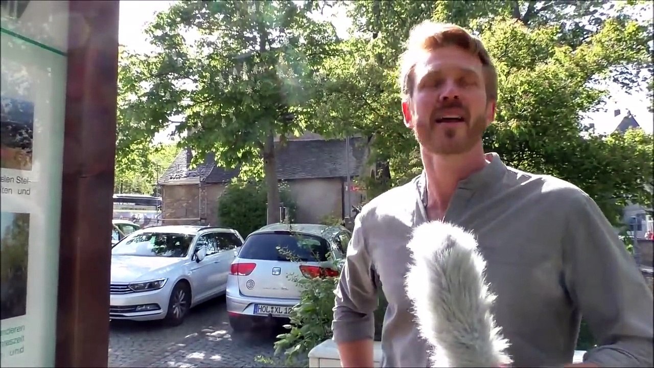 Ein Gang durch Goslar