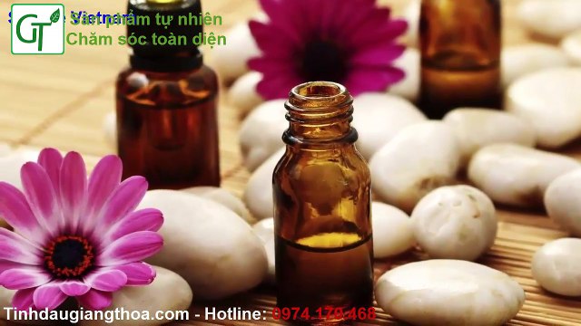 Tinh Dầu Bưởi - Giảm Mỡ Bụng Hiệu Quả Với Tinh Dầu Từ Quả Bưởi