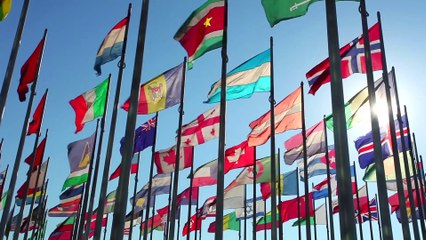 Was wäre wenn PLÖTZLICH ein neuer KONTINENT auftaucht_