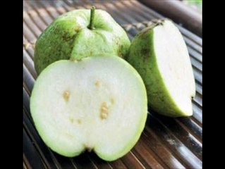 TERBAIK!!!, WA +62 822-2605-3504, Jual Bibit Durian Bawor Di Lampung