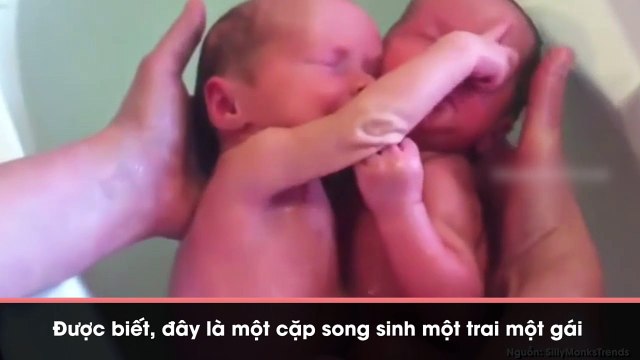 Khoảnh khắc anh em sinh đôi quấn lấy nhau khi được tắm hút gần 3 triệu lượt xem