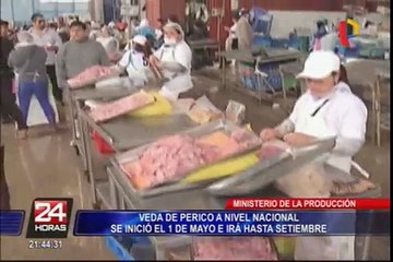 Produce: veda de perico se prolongará hasta fines de septiembre