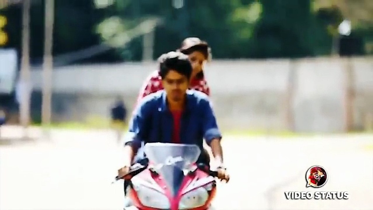 Saalaiyil vagathadai __ Tamil album __ whatsapp status __ Pirates creations