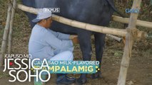 Kapuso Mo, Jessica Soho: Carabao milk-flavored, ibibida ngayong Linggo!