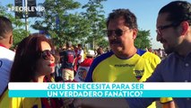 Deportes VIP: ¿Qué debe tener el fanático definitivo?