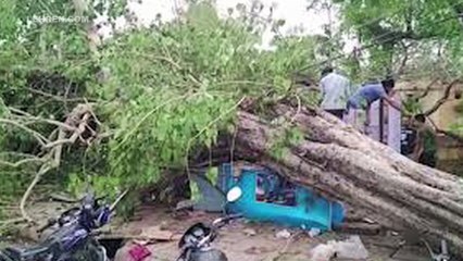 Over 100 Lost Their Lives After Dust Storm and Heavy Rain Hit UP, Rajasthan