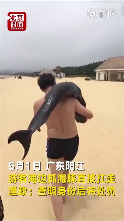 Ce touriste porte un dauphin sur l'épaule à la plage en Chine !