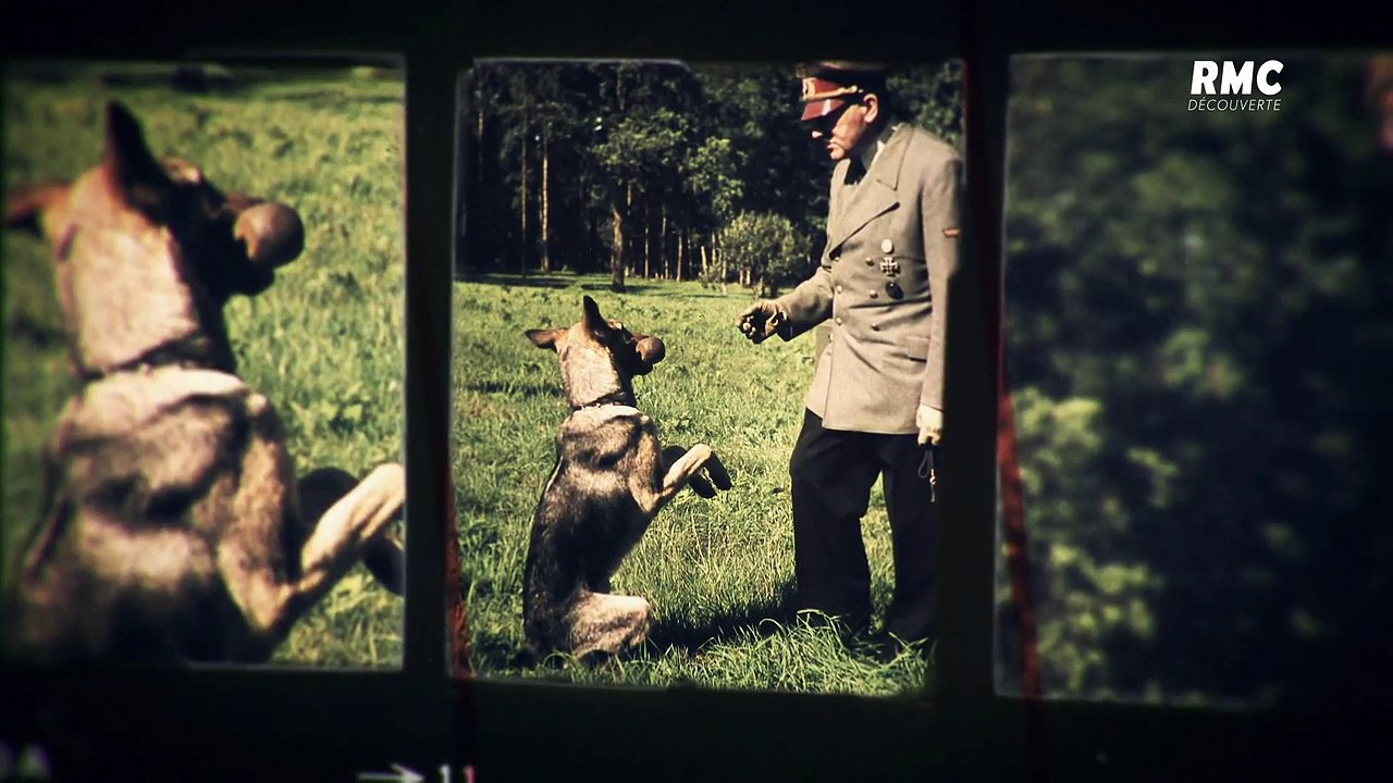 Adolf hitler - les origines du mal - la solution finale FR