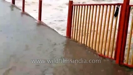 Indians pull out car from flood waters - property more expensive than life?