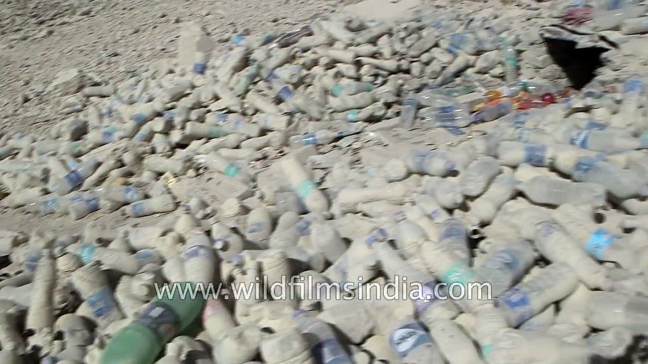 Ghost of Gata Loops - these bottles are to quench his thirst