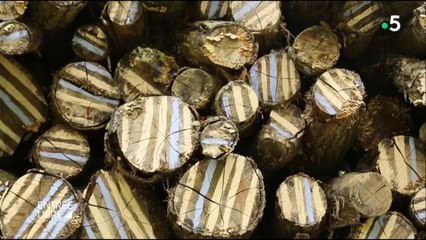 Chaumont-sur-Loire, c’est un festival