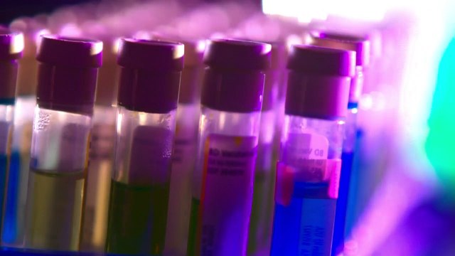 A Vida em Um Milhão de Anos | Nunca Digas Morte | HD | P1 EP2