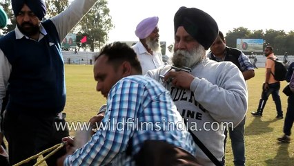 Sardarji pulls car with his beard - only in India!