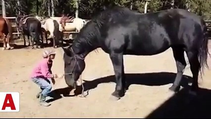 Minik çocuğun ata binme yöntemi