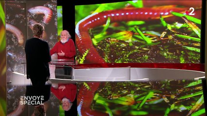 "La disparition des vers de terre est aussi inquiétante que la fonte des glaces", selon l'astrophysicien Hubert Reeves