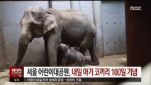 서울어린이대공원, 5일 아기 코끼리 100일 기념 공개 행사