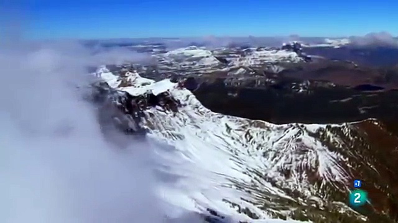 LA LOBA DE YELLOWSTONE  Grandes documentales