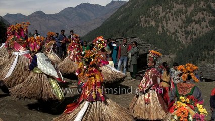 Men dance in grass skirts? No, not Hawaii, but Himachal, India