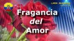 MENTIRAS Y ENGAÑOS  - Grupo Fragancia del Amor, Ecuador