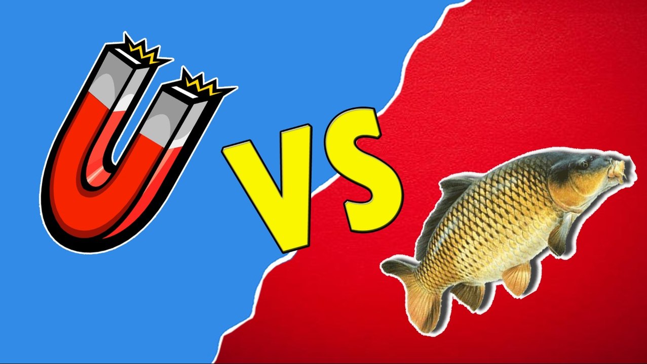 PÊCHE À L'AIMANT Vs PÊCHE À LA CARPE