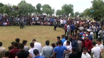 5 Asırlık Gelenek: Kamçı Şenlikleri