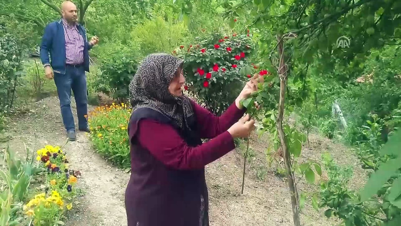 Muharrem İnce'nin cumhurbaşkanlığı adaylığı - YALOVA