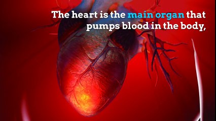 #5 HEALTH RISKS FROM DIABETES | WHAT BAD DIABETES CAN DO TO YOU