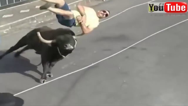 Best funny videos 2017 - Most awesome bullfighting festival - funny crazy bull fails Comedy Funny Videos!Prank Mania!