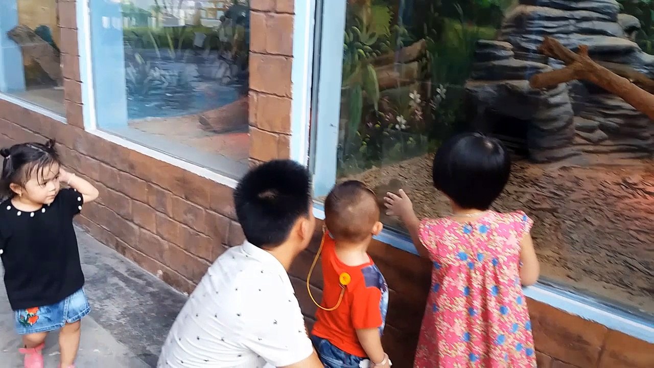 Gia Linh đi xem một số loài  động vật đặc biệt ở Thiên Đường Bảo Sơn
