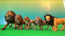 Schleich Safari Toys Lions Tigers Cheetah My Entire Collection Of Cats Animals ZOO