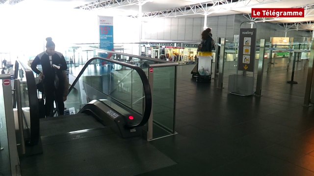 ​ Brest. Les handballeuses s'envolent vers la finale