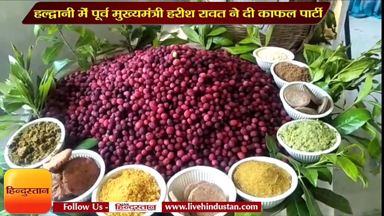 हल्द्वानी में पूर्व मुख्यमंत्री हरीश रावत ने दी काफल पार्टी