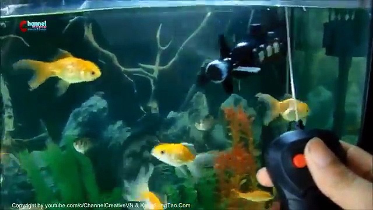 DIY mini submarines remote control, How to make mini submarines RC Dailymotion Video