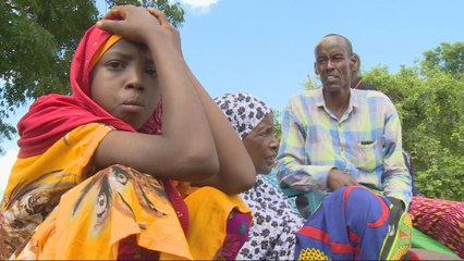 Kenya floods: 200,000 made homeless by Tana River surge