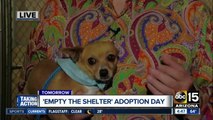 'Empty The Shelter' event this weekend looking to adopt out all pets at MCACC