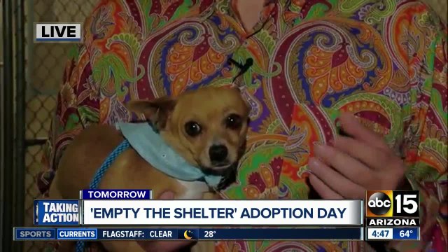 'Empty The Shelter' event this weekend looking to adopt out all pets at MCACC