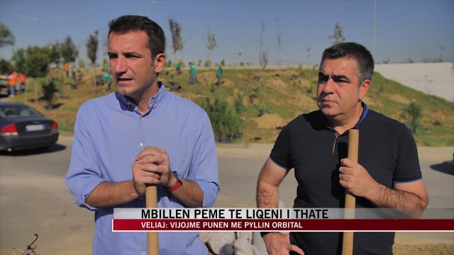 Mbillen pemë te Liqeni i Thatë - News, Lajme - Vizion Plus