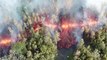 Images magnifiques de la coulée de lave dans une forêt à Hawaï filmées par un drone