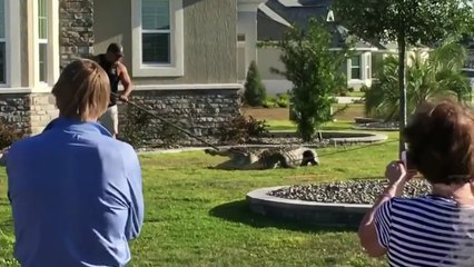 Ils retrouvent un intrus dans leur jardin en rentrant chez eux