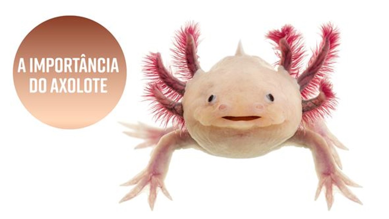 3 motivos pelos quais devemos nos preocupar com...